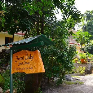Forest Seychelles